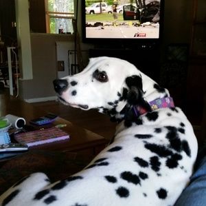 Meet your Posher, Danny